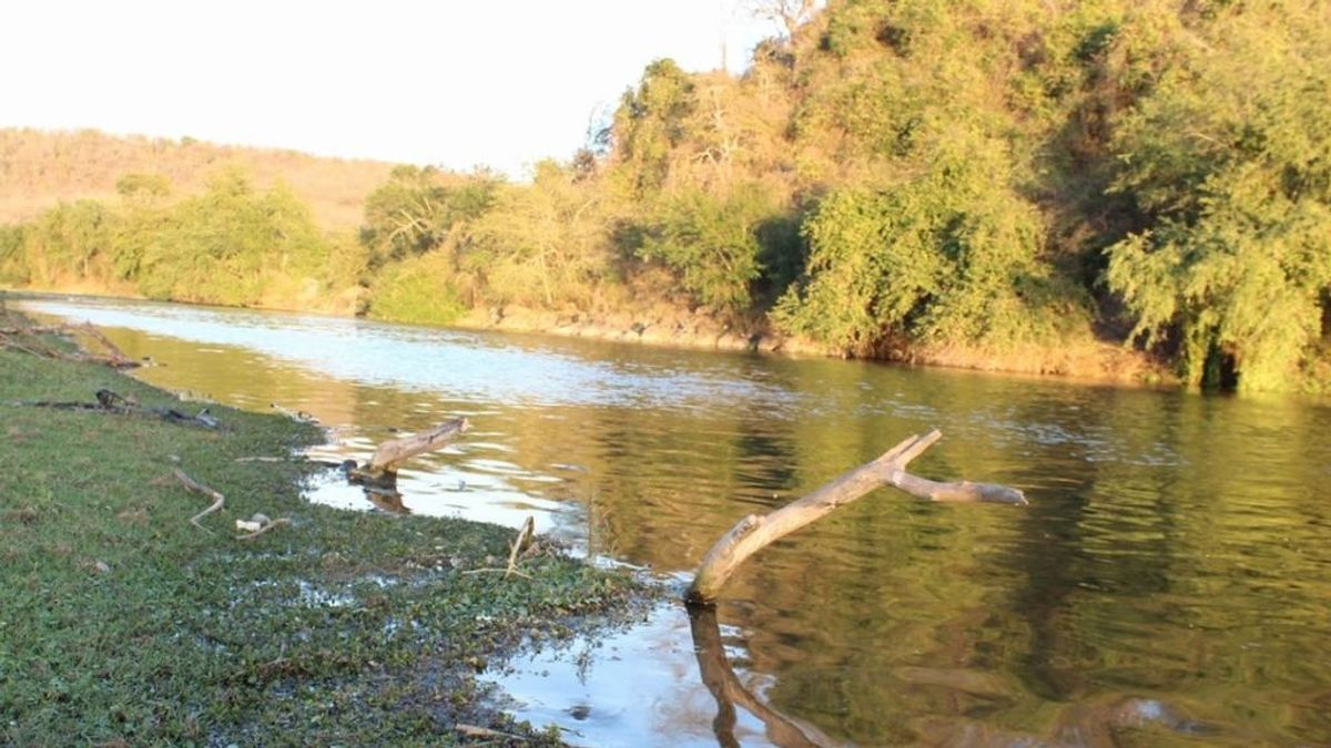 Dos hermanos mueren ahogados en un río de México cuando intentaban salvar a dos niños