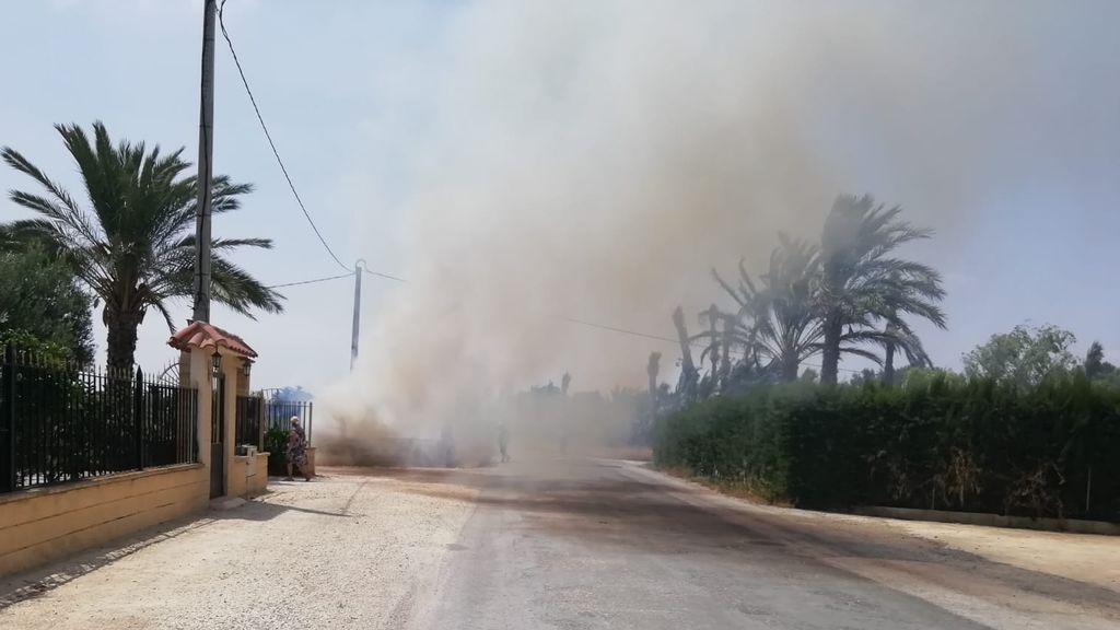 190702 SOC INCENDIO PALMERA ELCHE