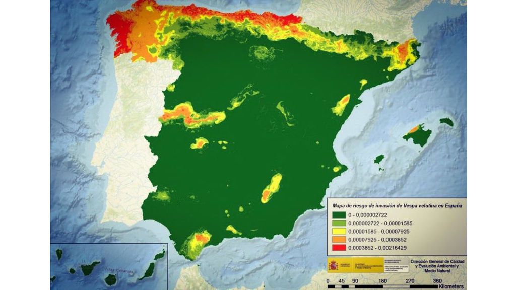 Mapa de riesgo de invasión de la avispa asiática en España / Ministerio para la Transición Ecológica