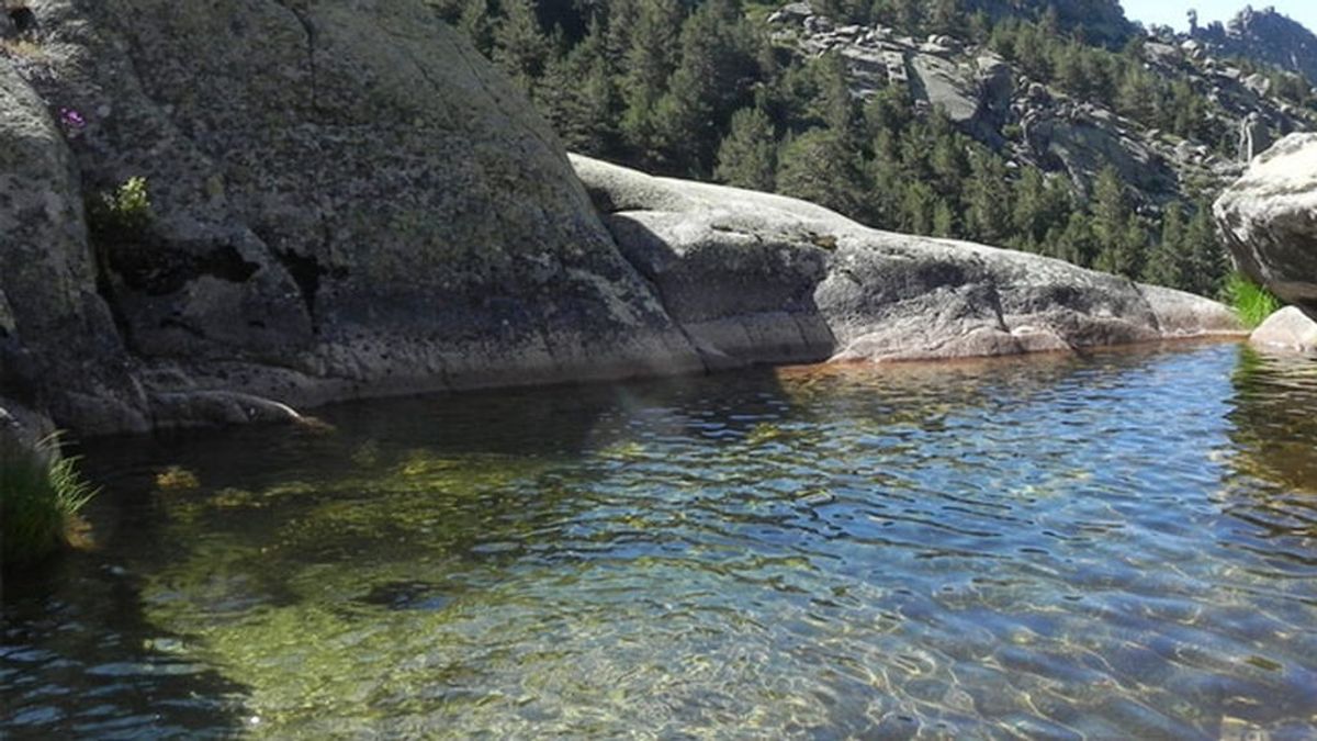 Recomiendan no bañarse en el Manzanares a su paso por La Pedriza por la presencia de una bacteria