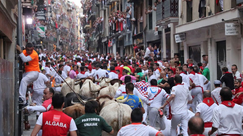 Los caballos de la Policía robarán protagonismo a los toros este San Fermín Los caballos de la Policía robarán protagonismo a los toros este San Fermín