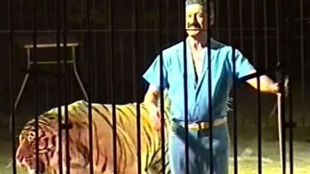 Cuatro tigres devoran a un domador de circo en pleno ensayo Cuatro tigres devoran a un domador de circo en pleno ensayo