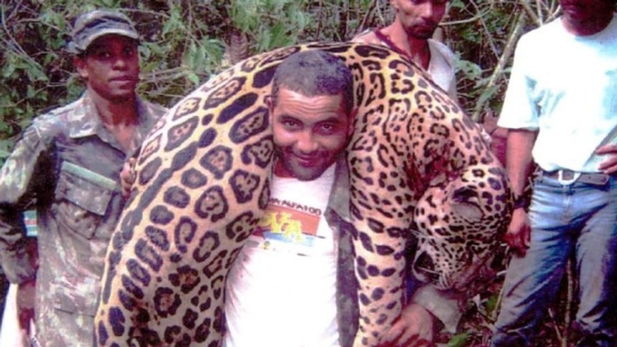 Arrestan a un cazador que llevaba más de 1000 jaguares abatidos en Brasil