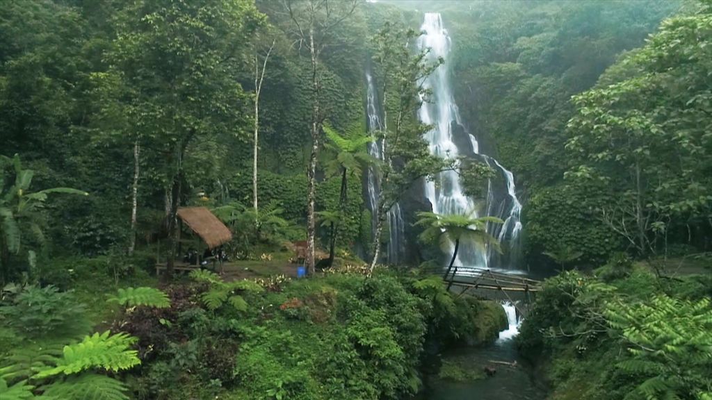 Una ruta por el interior de la selva para ver el Bali que no conocen los turistas