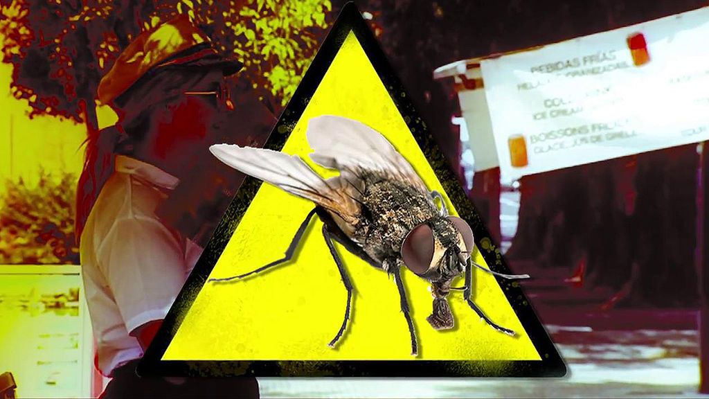 Las plagas del verano: la mosca negra y el mosquito tigre
