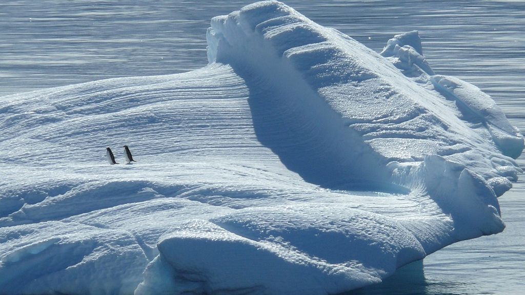 iceberg-329852_960_720