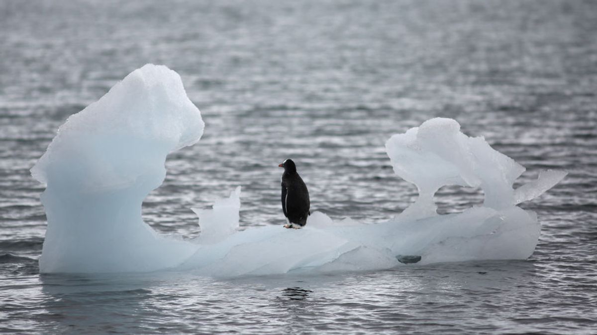 Un millonario quiere remolcar un iceberg antártico hasta el golfo de Omán para combatir la sequía