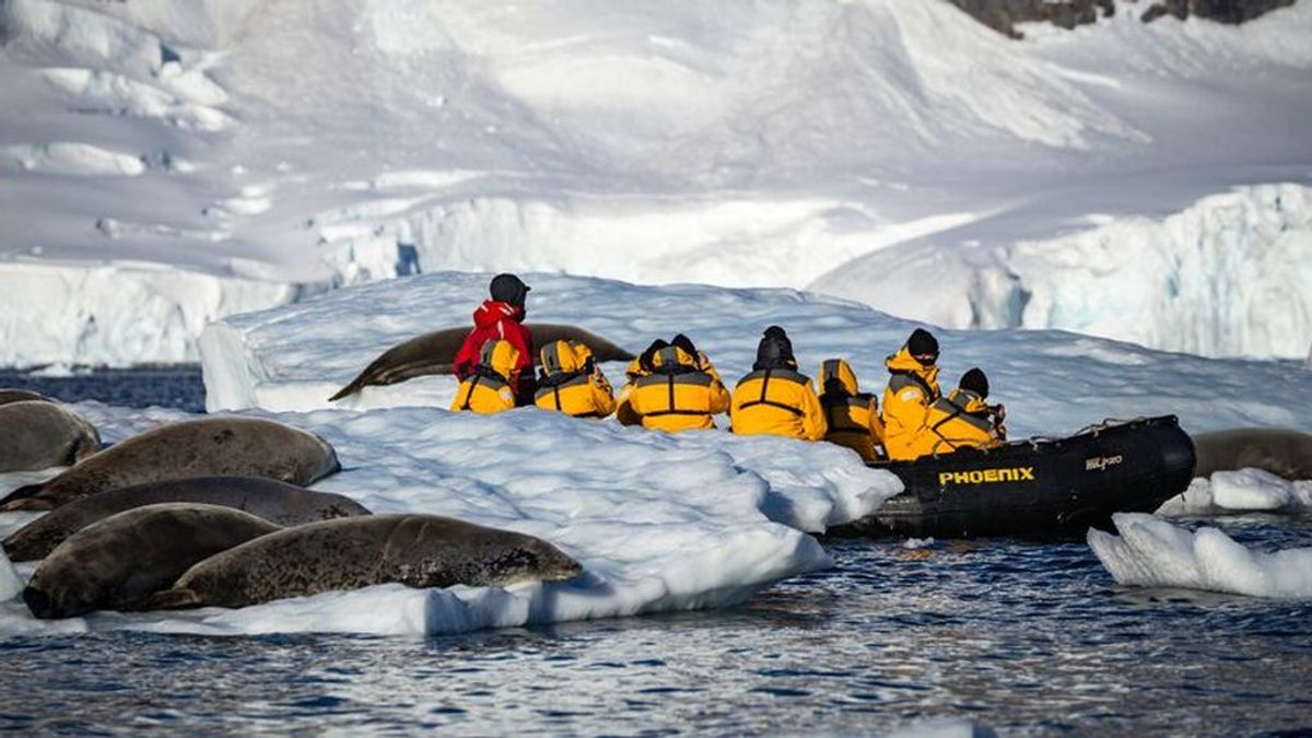 Turistas en la Antártida: el continente de hielo ya no es exclusivo para investigadores