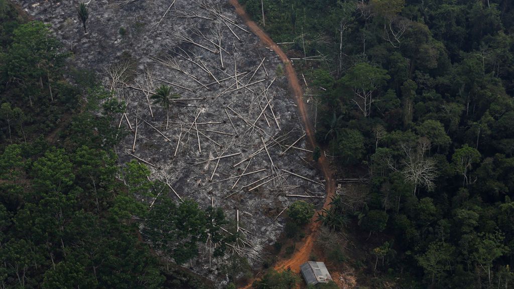 La destrucción del Amazonas: se está deforestando el equivalente a un campo de fútbol por minuto