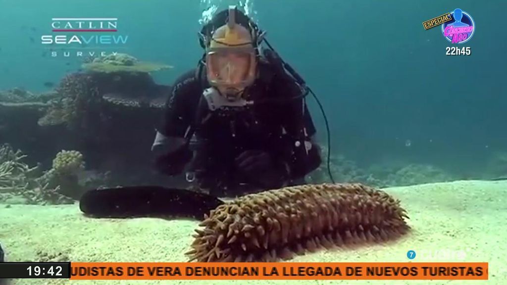 La pesca de los pepinos de mar