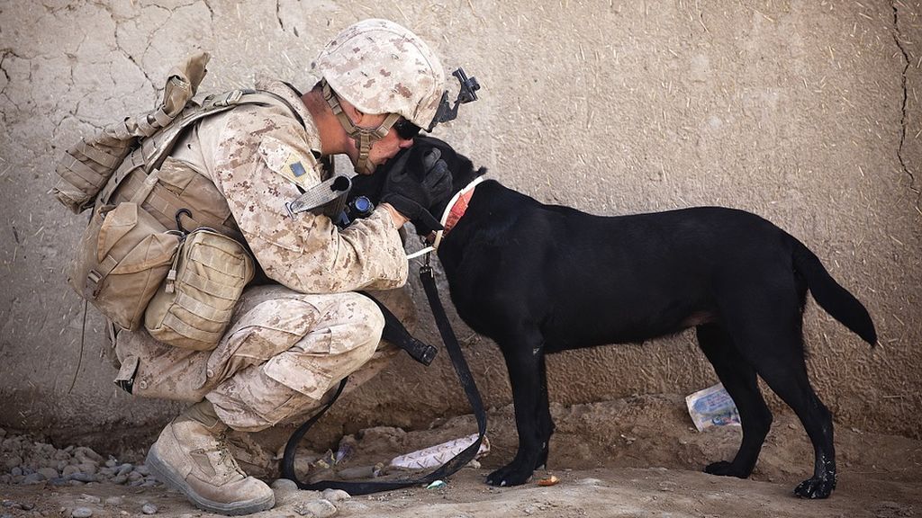 soldier-870399_960_720 soldier-870399_960_720