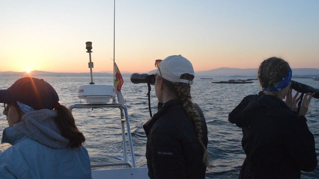 20190716 -SOC Ballenas 4