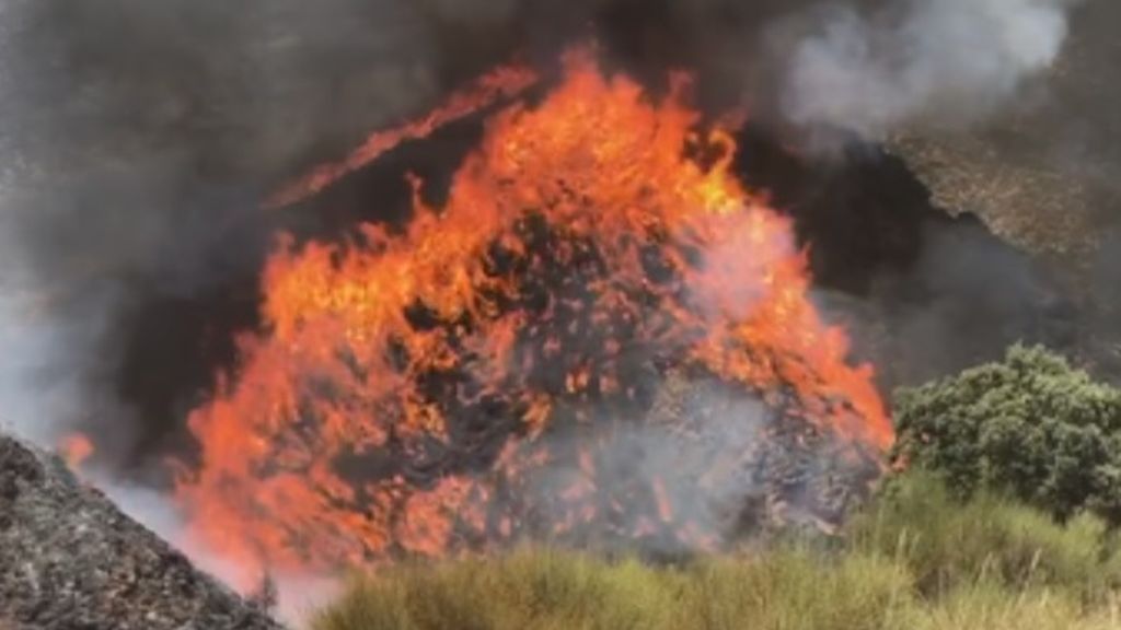 Estabilizado el incendio de Beneixama, que ha afectado a casi 900 hectáreas