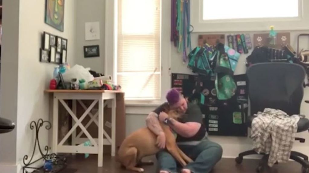 Un perro calma a su dueña durante un ataque de ansiedad