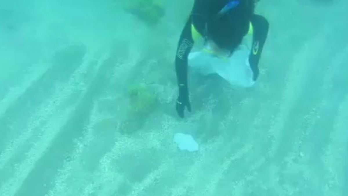 Nace 'DeepBoard', un deporte acuático que ayuda a limpiar los fondos marinos