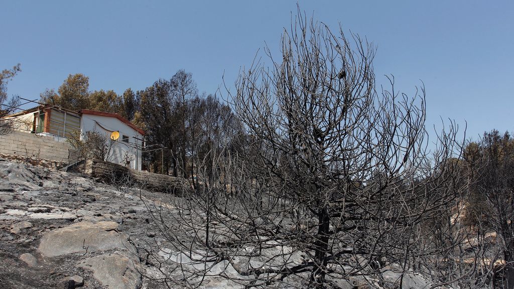 El incendio de Beneixama, en Alicante, podría quedar controlado en las próximas horas