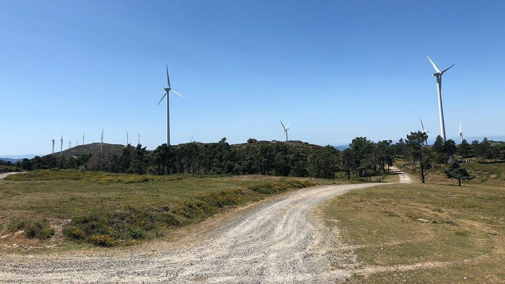 Paralizado un parque eólico gallego por la presencia de buitres negros Paralizado un parque eólico gallego por la presencia de buitres negros