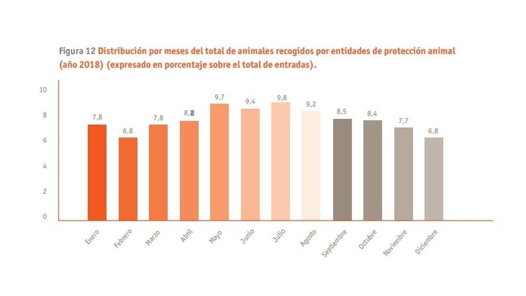 Distribución meses animales recogidos 2018