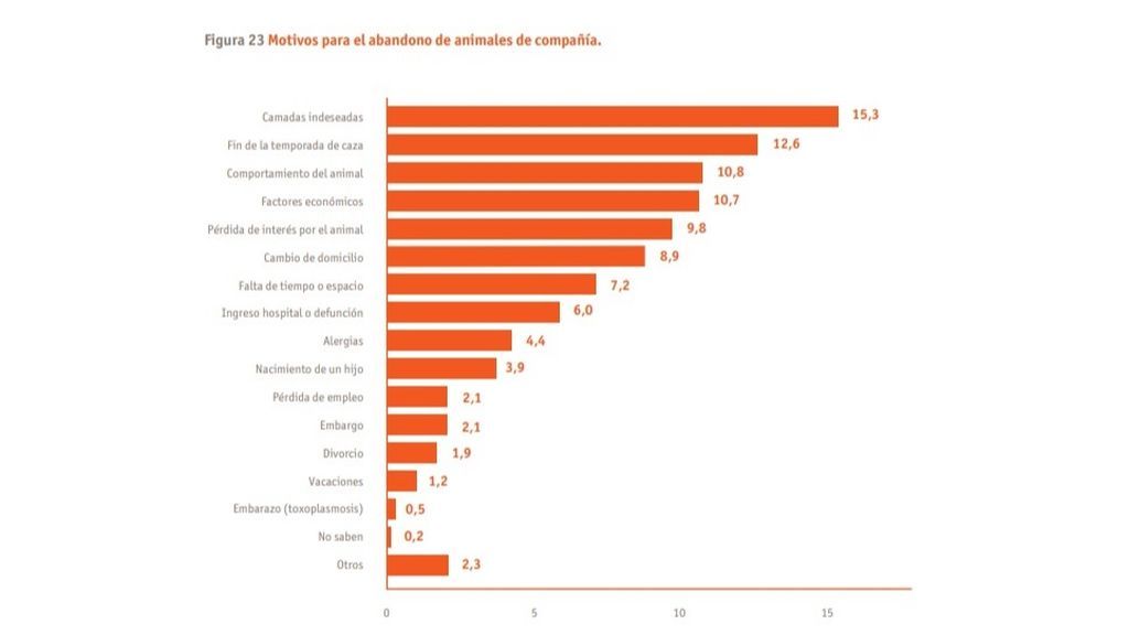 motivos para el abandono de animales de compañia