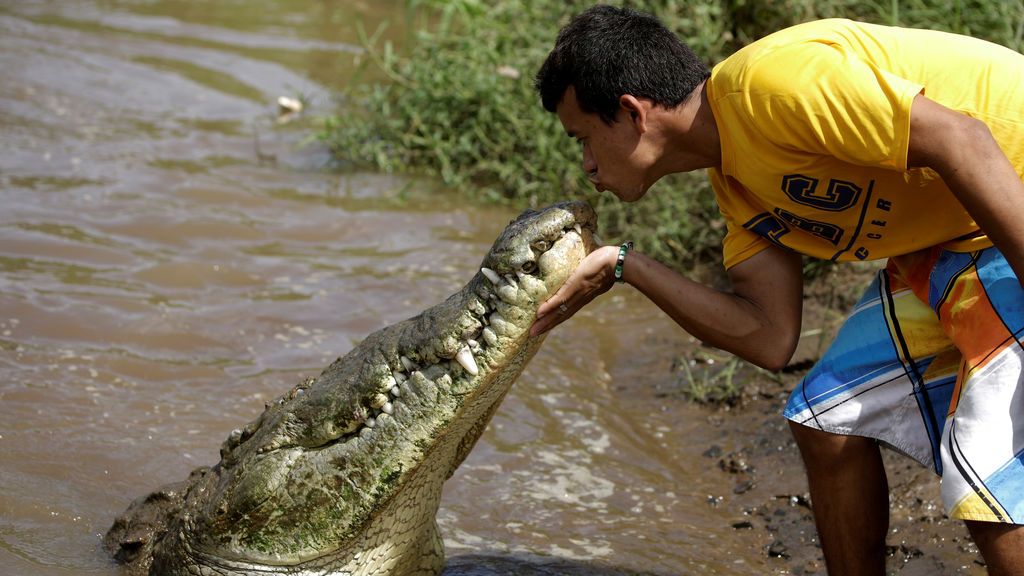 La peligrosa afición de un joven costarricense: dar de comer a los cocodrilos