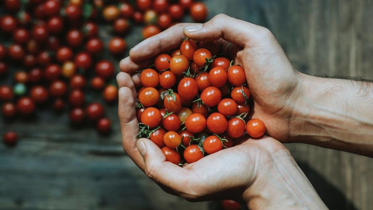 Vegetales, conservas, ahumados y un pan con cereales: los platos más sabrosos para disfrutar en la piscina