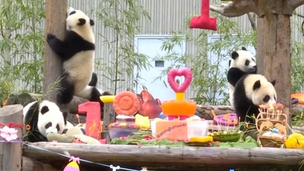 Fiesta de cumpleaños para 18 osos panda