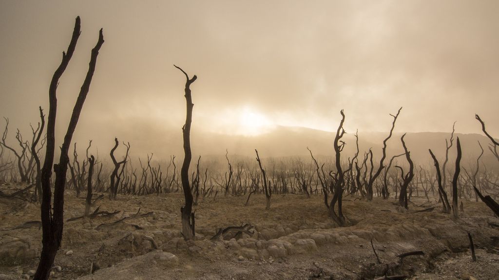 Futuro violento: el cambio climático aumentará el riesgo de guerras y conflictos armados Futuro violento: el cambio climático aumentará el riesgo de guerras y conflictos armados