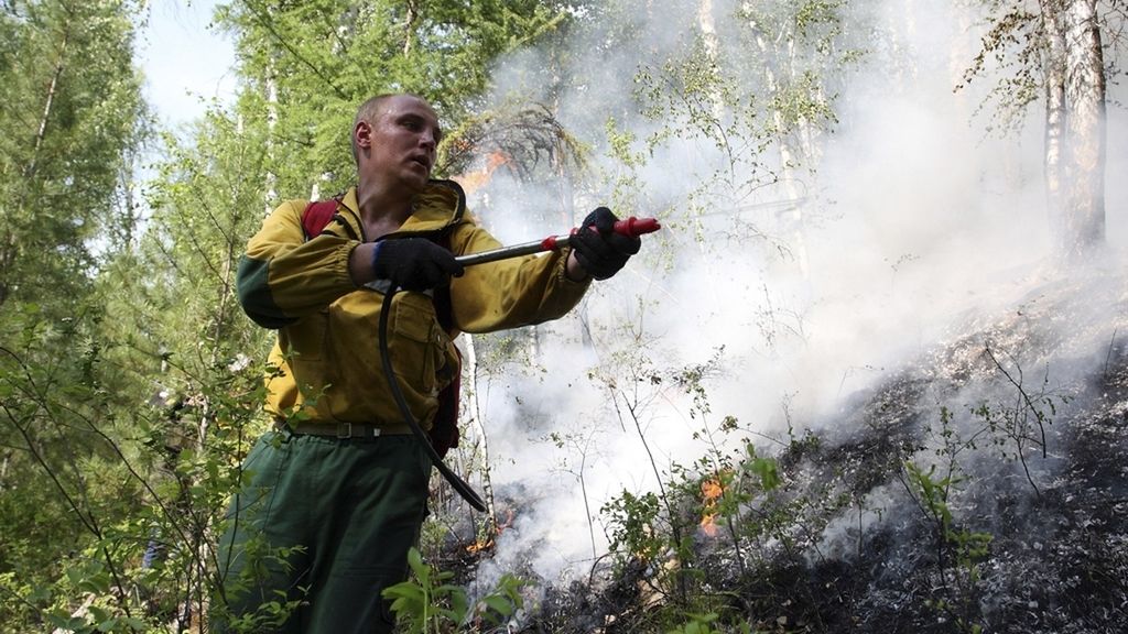Las impactantes imágenes que han dejado los incendios de Siberia