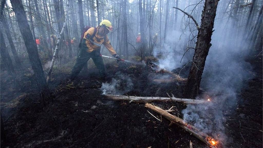 Las impactantes imágenes que han dejado los incendios de Siberia