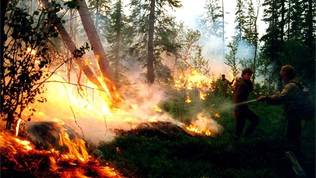Las impactantes imágenes que han dejado los incendios de Siberia
