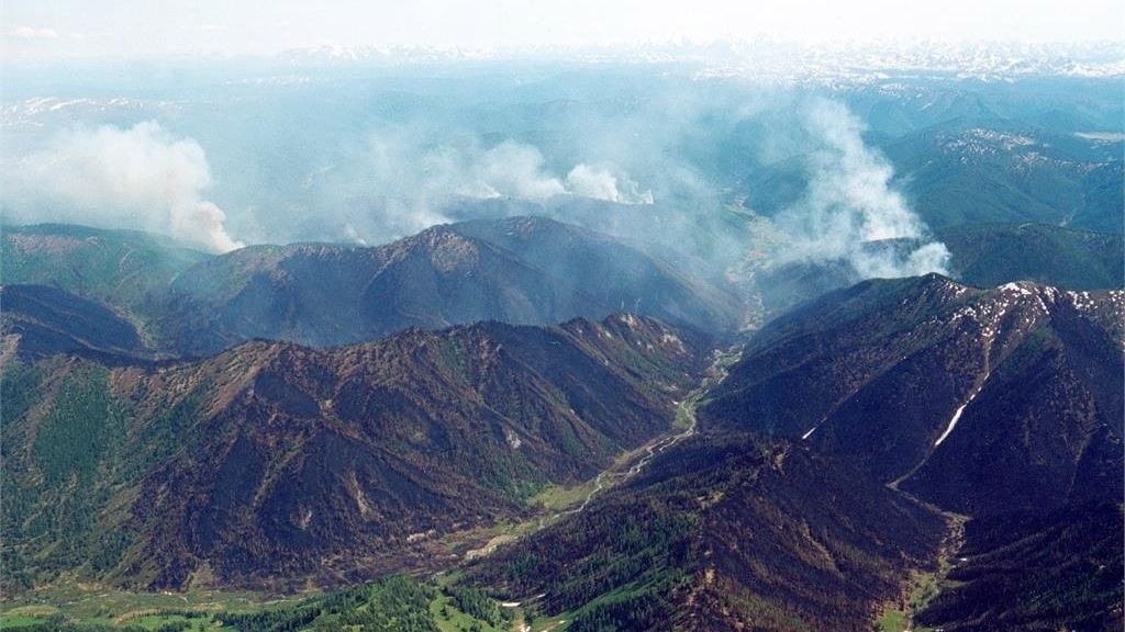 Las impactantes imágenes que han dejado los incendios de Siberia