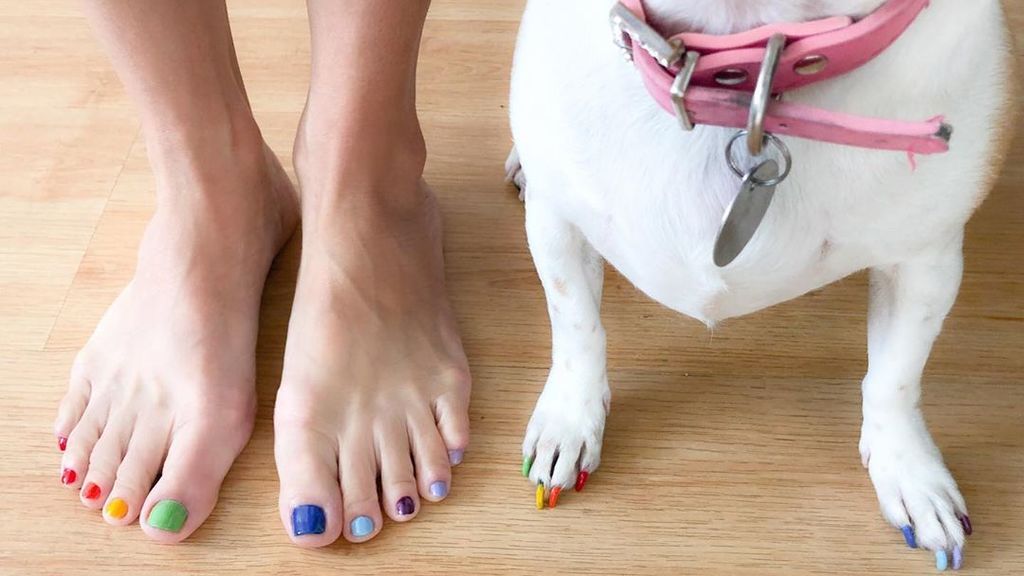 Hacerte la manicura a juego con tu perro: hasta qué punto es una buena idea