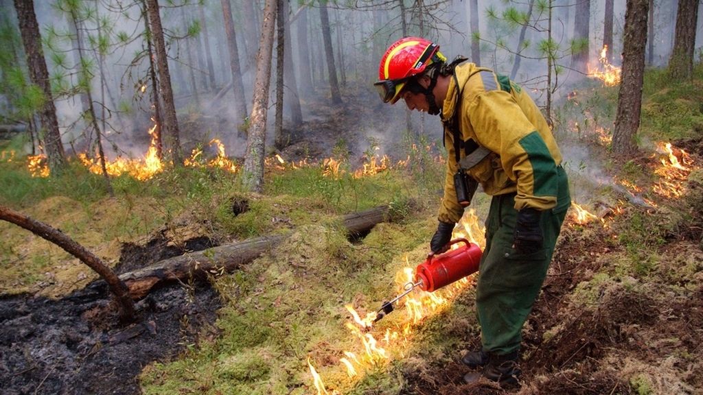 Las impactantes imágenes que han dejado los incendios de Siberia