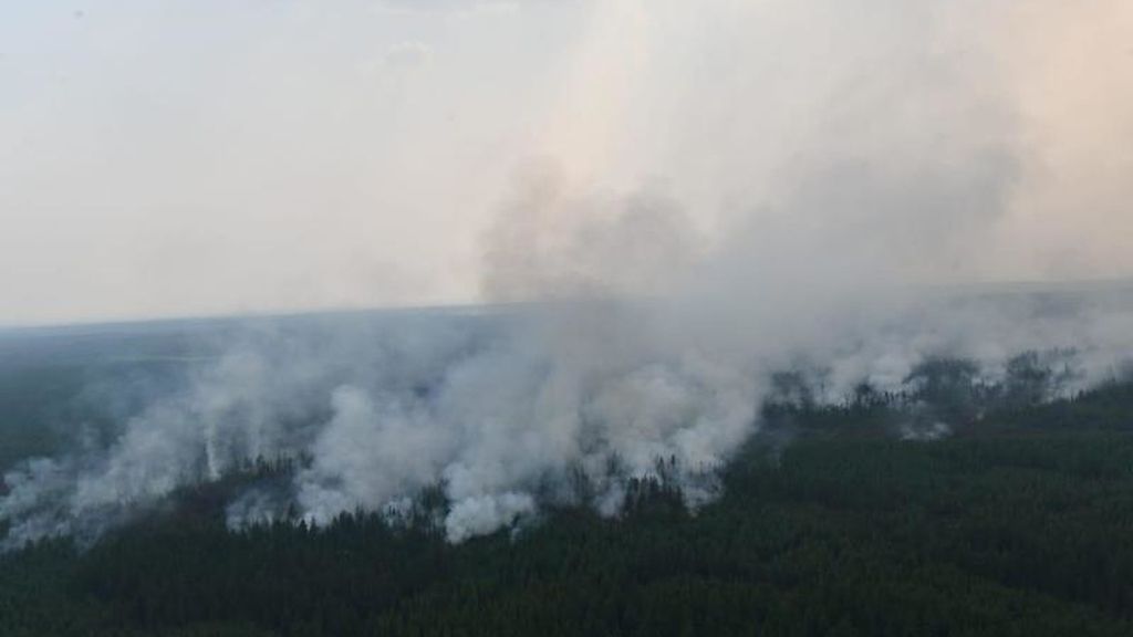 Las impactantes imágenes que han dejado los incendios de Siberia