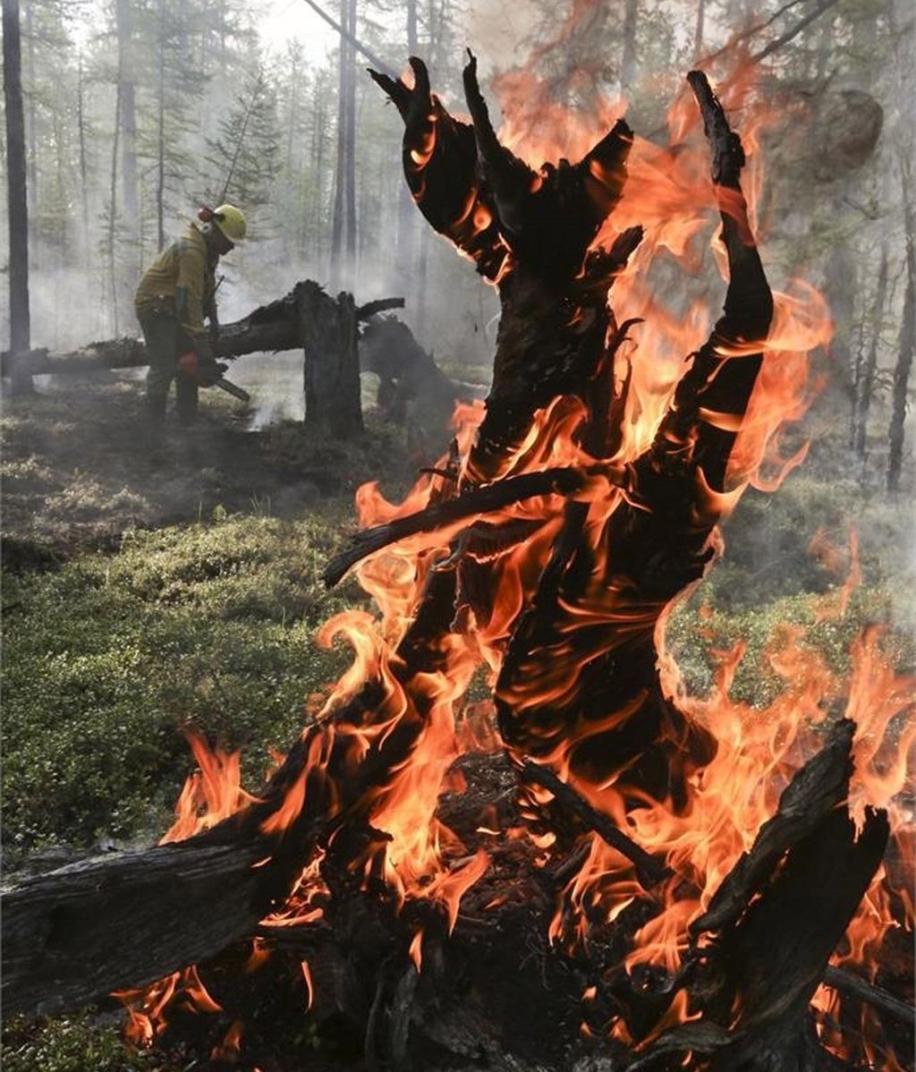 Las impactantes imágenes que han dejado los incendios de Siberia