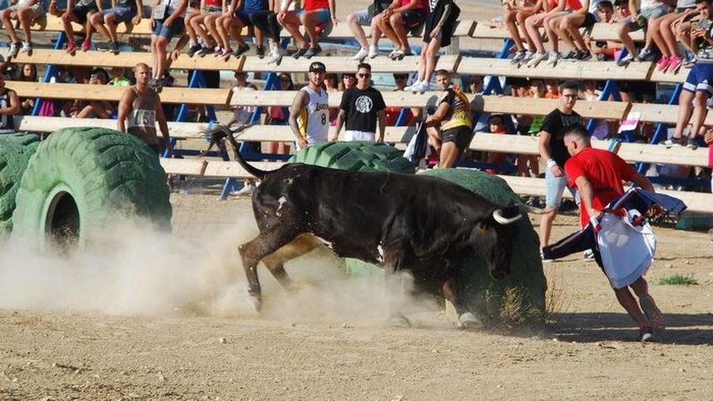 Muere un joven tras recibir una cornada de una vaquilla en El Pinós (Alicante)