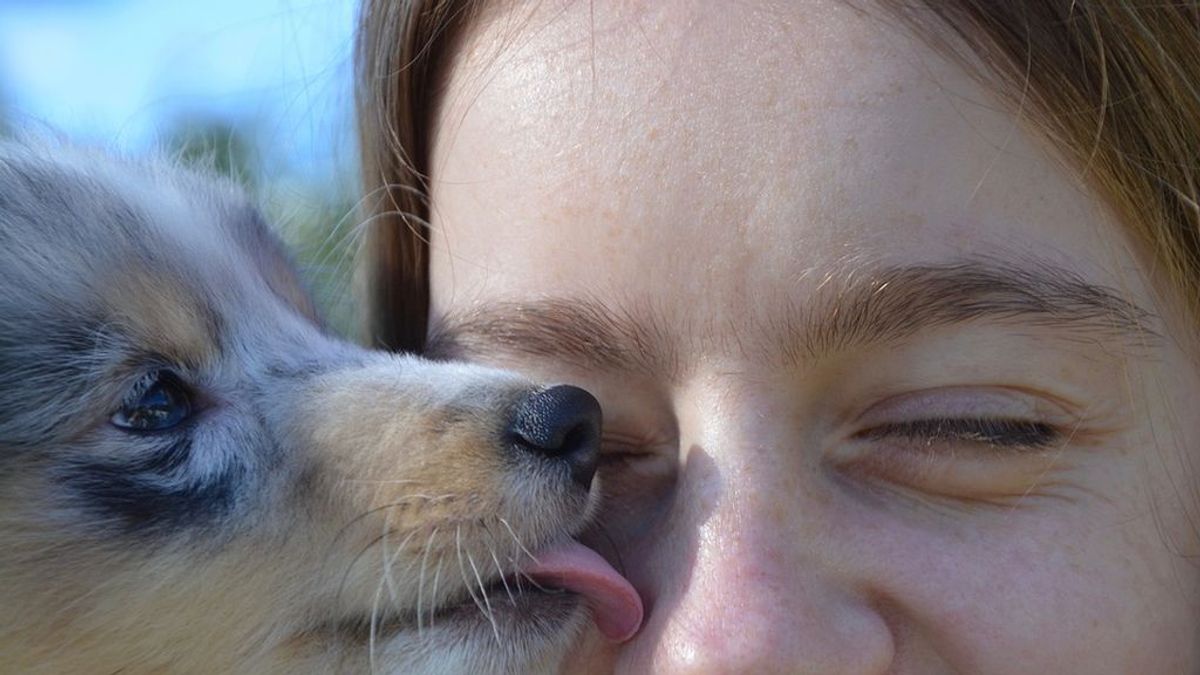 Amputan las extremidades a una mujer después de contraer una bacteria procedente de la saliva de su perro