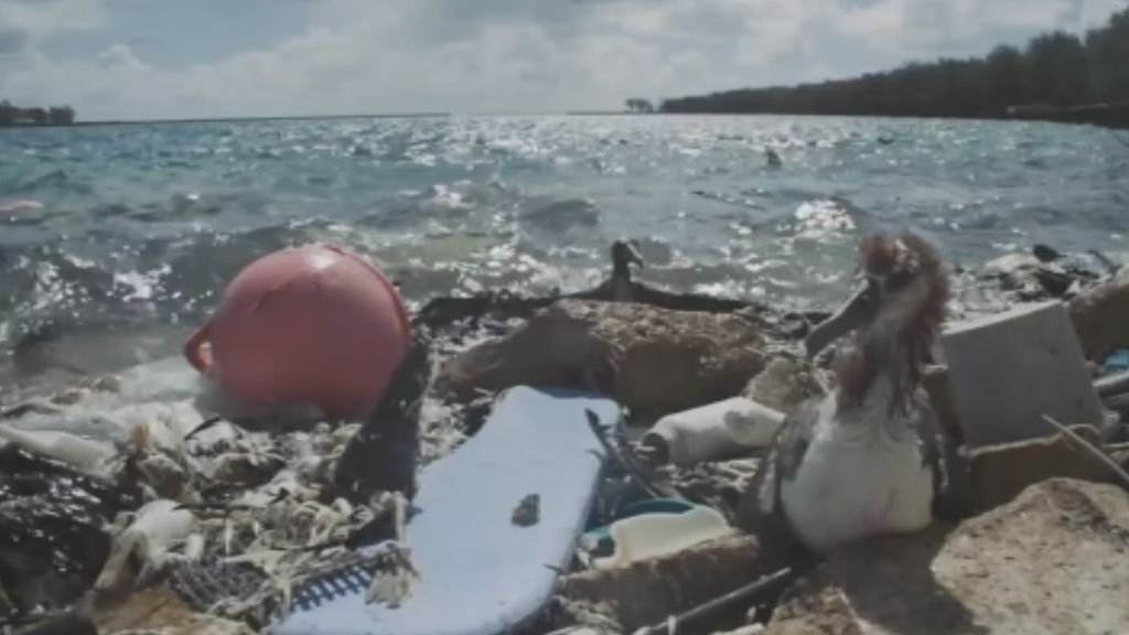 Una isla paradisiaca considerada Patrimonio de la Humanidad convertida en un vertedero de plásticos