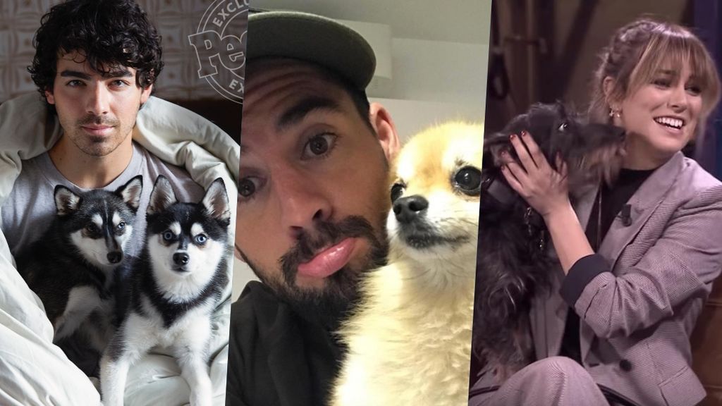 Con la mascota en la piel: Famosos que se tatúan a sus animales de compañía