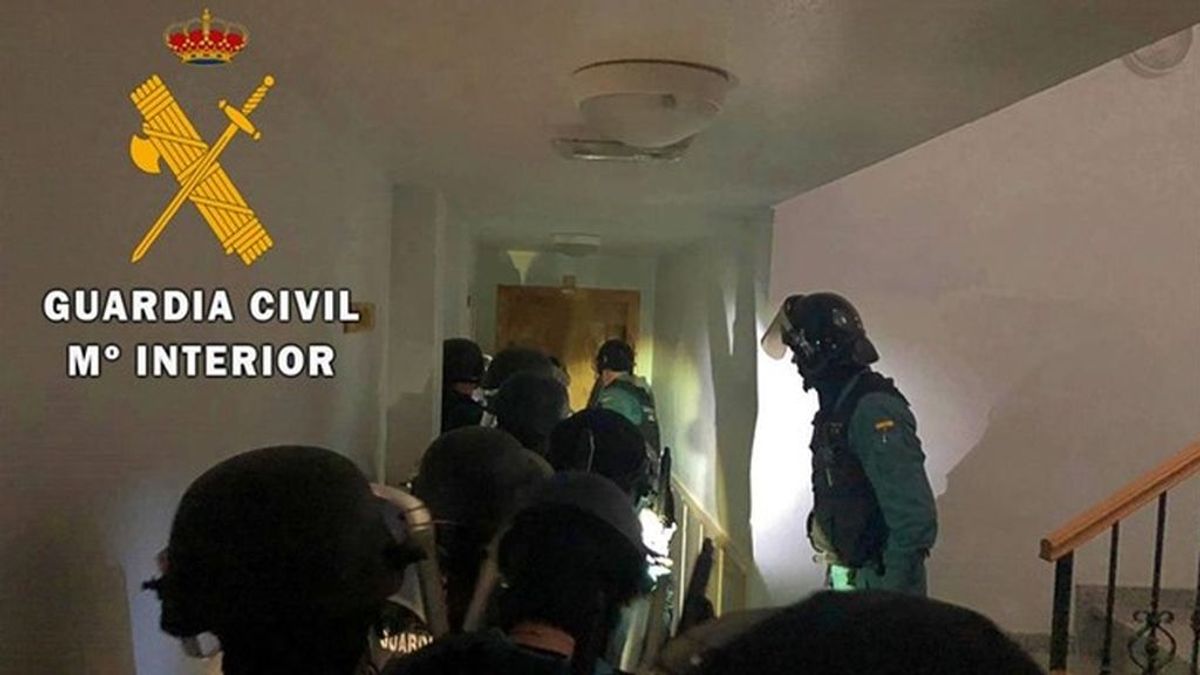 Tres detenidos tras hallar 1098 plantas de marihuana y 6 enganches ilegales en Berja, Almería