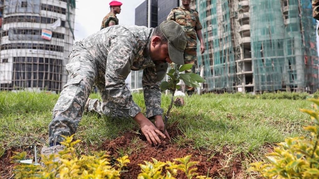 Etiopía se compromete con el medio ambiente: plantan 350 millones de árboles en 12 horas Etiopía se compromete con el medio ambiente: plantan 350 millones de árboles en 12 horas