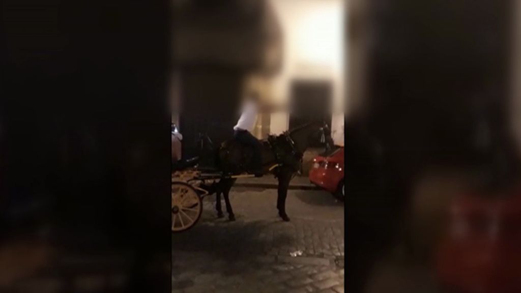 El conductor del caballo que se cayó en Sevilla se defiende: “Todo se ha exagerado”