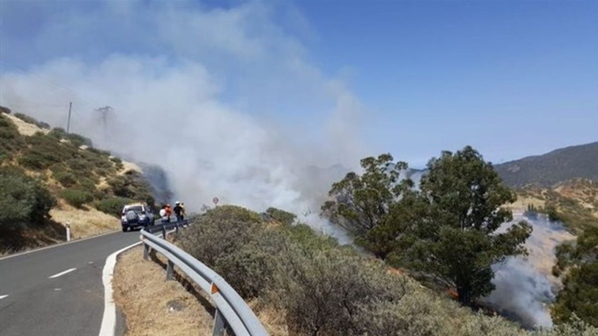 El Cabildo de Gran Canaria declara el nivel 1 por el incendio de Artenara