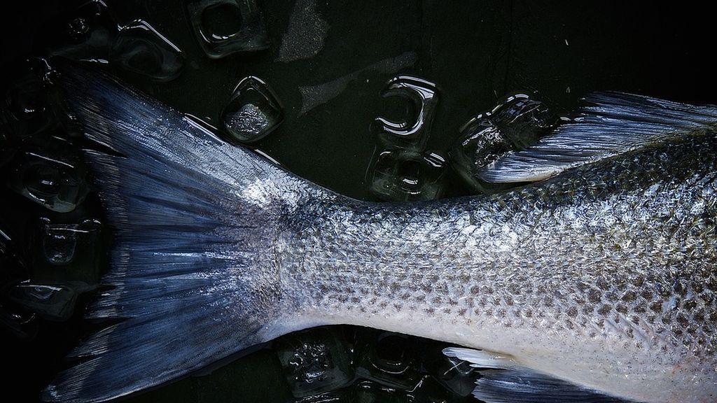 Obliga a sus empleados a beber sangre de pollo y a comer pescado vivo por su bajo rendimiento Obliga a sus empleados a beber sangre de pollo y a comer pescado vivo por su bajo rendimiento