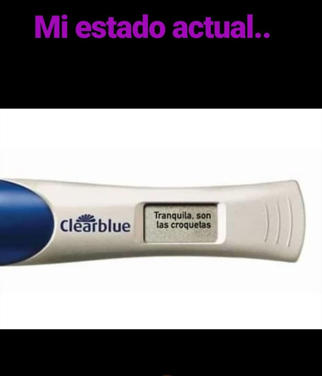 pau_eche_67385247_2069482613348680_8662042509621515516_n (1)