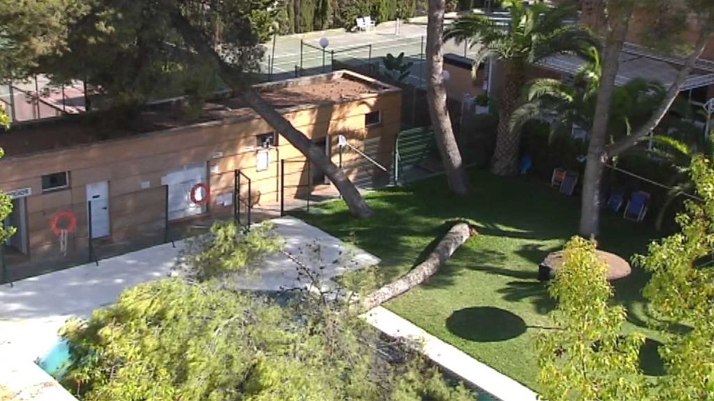 Un enorme árbol cae sobre una piscina llena de bañistas en Sevilla