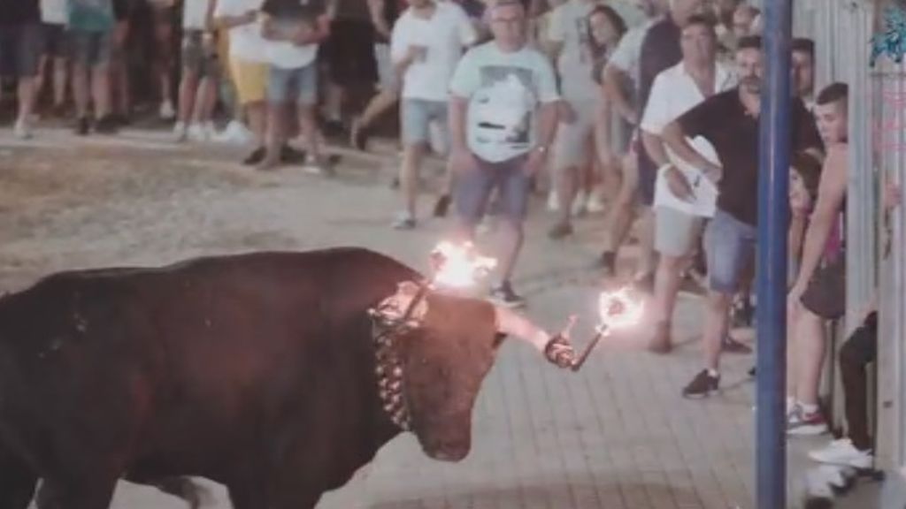 Animalistas denuncian la violenta muerte de cinco toros durante las fiestas de Vall d'Uixó en Castellón