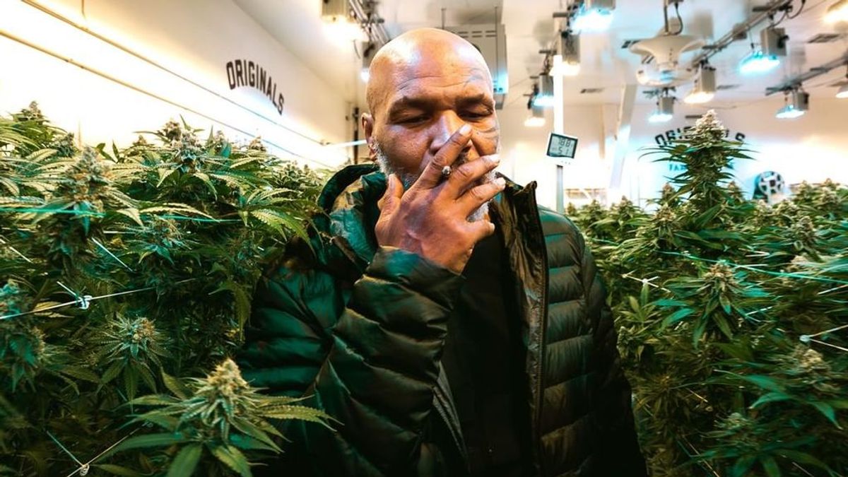 La confesión de Mike Tyson: “Me fumo 35.000 euros de marihuana al mes”