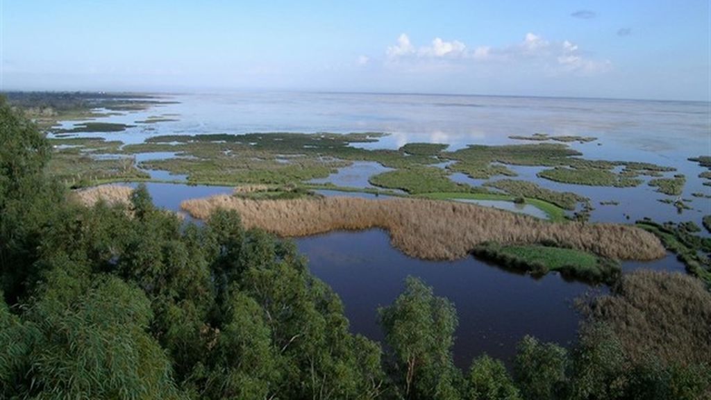 Parque Nacional de Doñana Parque Nacional de Doñana