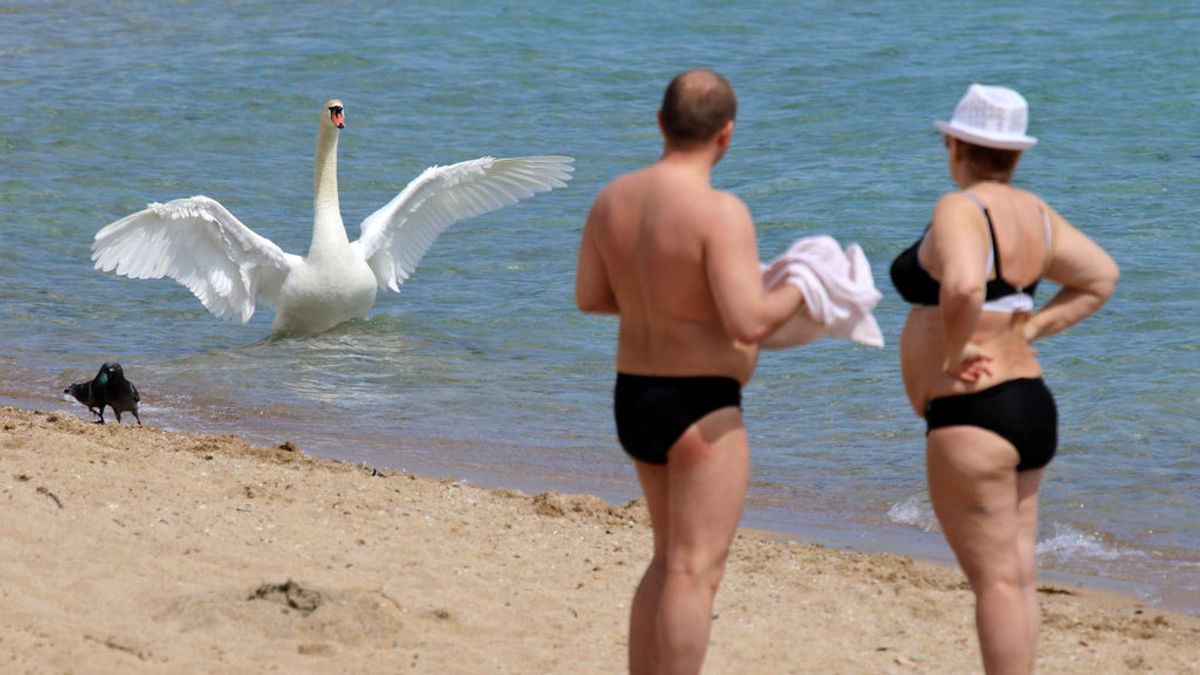 Los inviernos cálidos alteran la composición del agua del Mar Negro, según un estudio